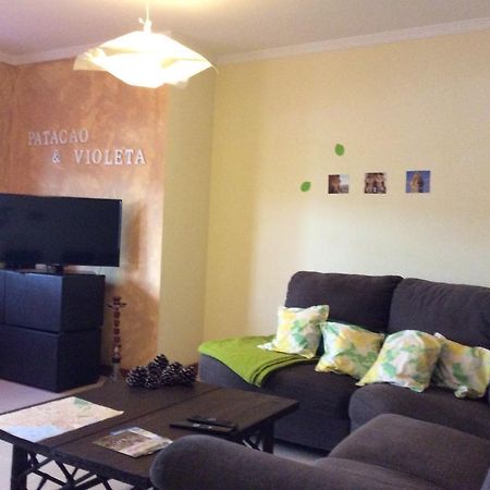 Patacao&Violeta Apartment Faro Bagian luar foto